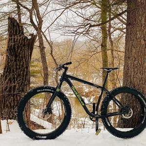 Meet your Posher, Janis